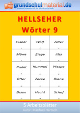 Hellseher_Wörter_09.pdf